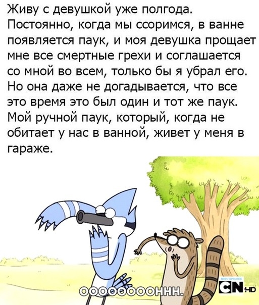 Живу с девушкой уже полгода Постоянно когда мы ссоримся в ванне появляется паук и моя девушка прощает мне все смертные грехи и соглашается со мной во всем только бы я убрал его Но она даже не догадывается что все это время это был один и тот же паук Мой ручной паук который когда не обитает у нас в ванной живет у меня в гараже