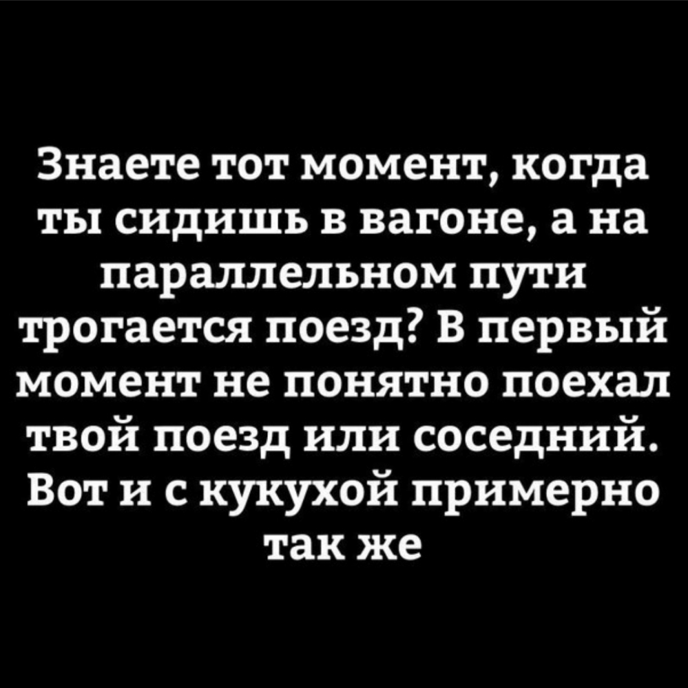 Знаете тот момент когда ты сидишь в вагоне а на параллельном пути трогается поезд В первый момент не понятно поехал твой поезд или соседний Вот и с кукухой примерно так же