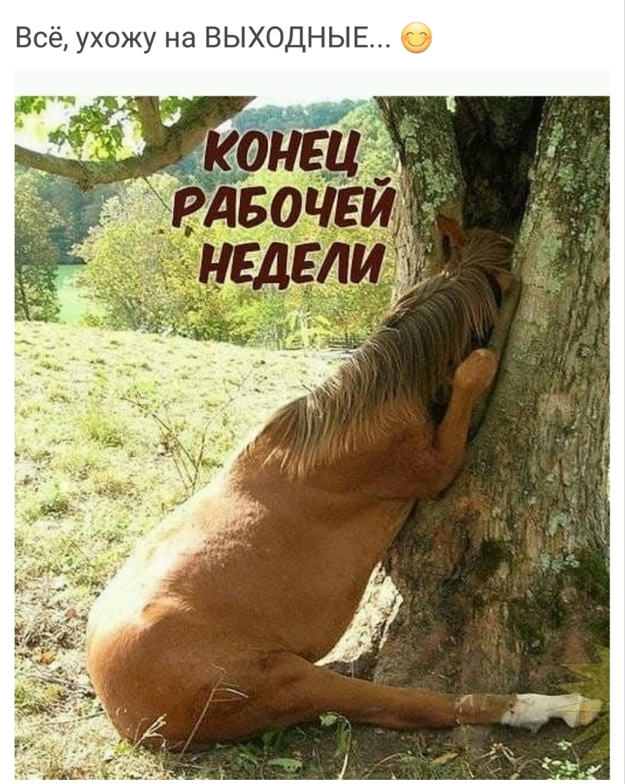 Всё ухожу на ВЫХОДНЫЕ