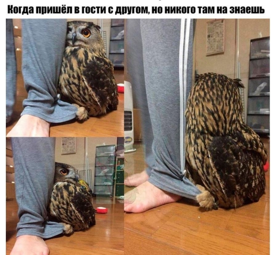 Когда ПВИШЁП В ЮВТИ В дшпом 0 ШШШ там на знаешь и