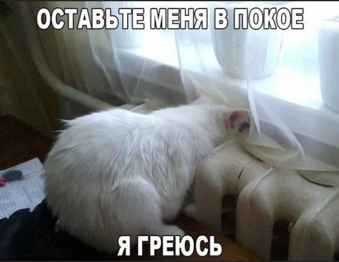 ОСТАВЬЁЁ ЮЁ Я ГРЕЮСЬ
