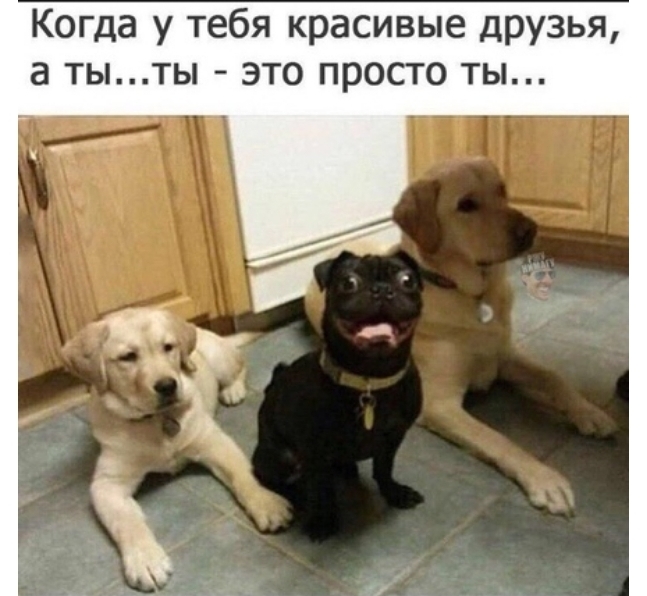 Когда у тебя красивые ЛРУЗЬЯ а тыты это просто ты