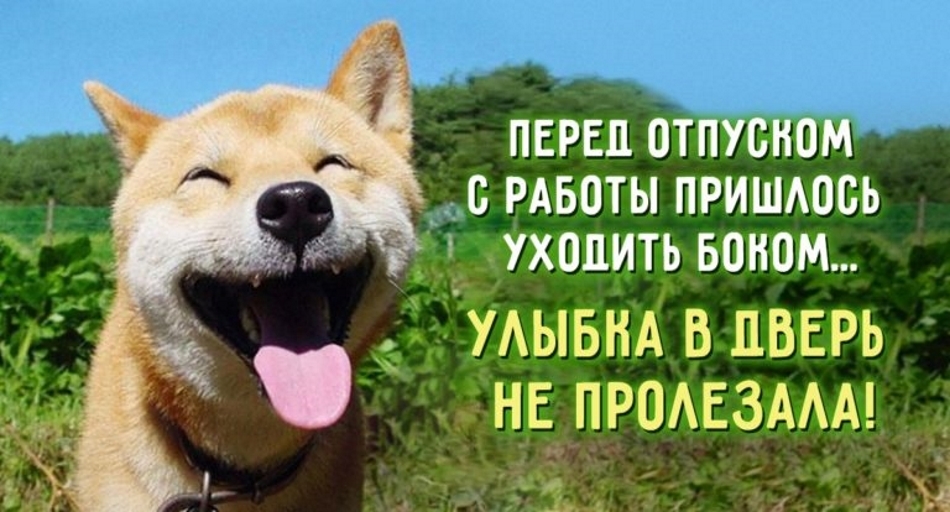 ПЕРЕЦ ОТПУСНОМ С РАБОТЫ ПРИШАОСЬ УХОДИТЬ БОНОМ УАЫБНА в дверь н ПРОЕЗААА А