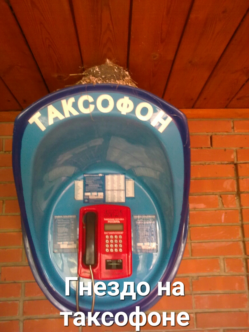 195 мг