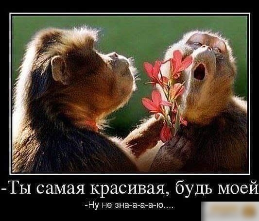 ТЫ самая красивая будь моей Ну не зна а а а ю _