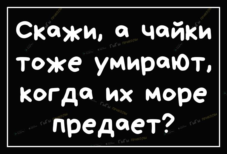 Скажи чайки тоже умирают Когда их море предает
