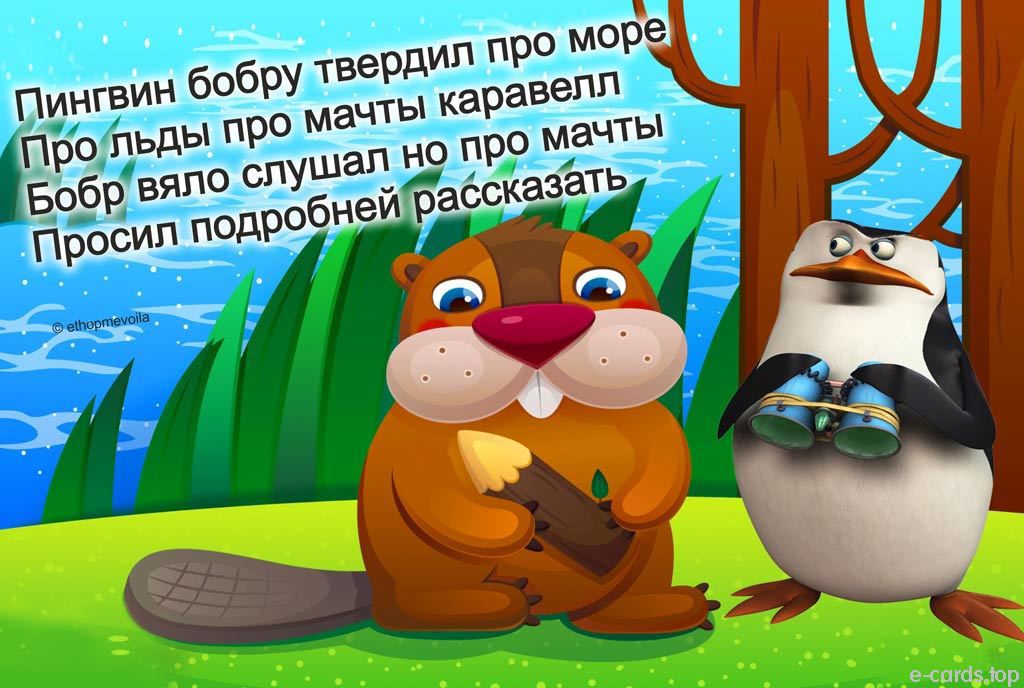 е статор
