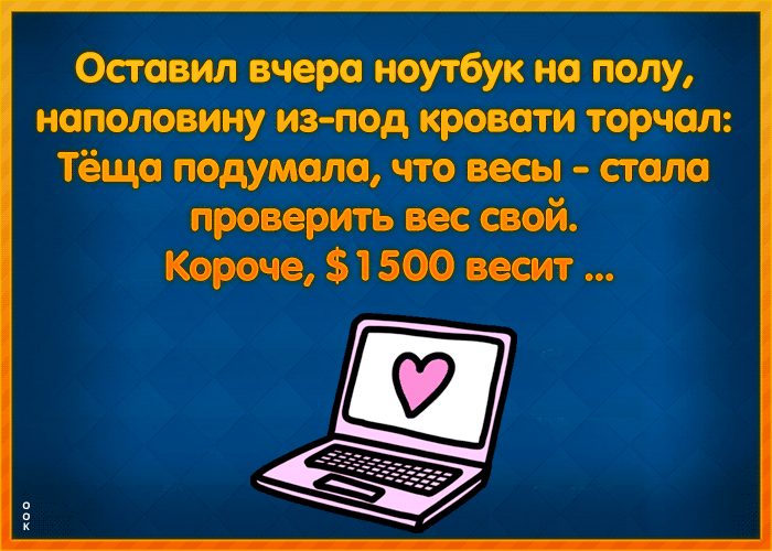 Оставил вчера ноутбук на полу наполовину из под кровати торчал тёща подумала что весы стало проверить вес свой Короче 1 500 весит