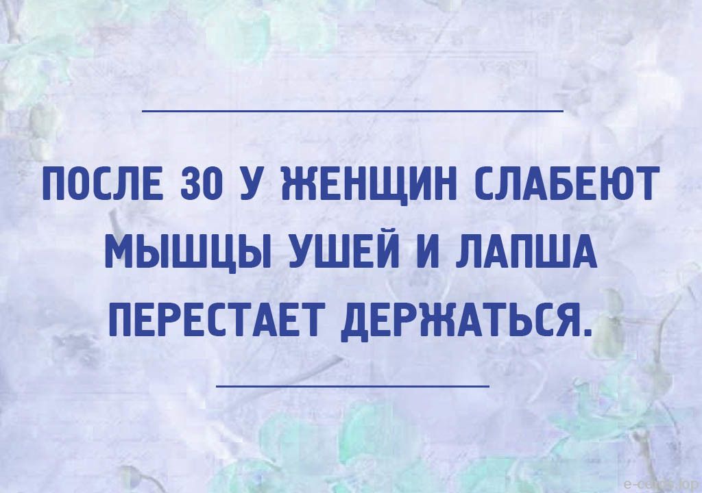 Стоковые векторные изображения по запросу Лапша на ушах