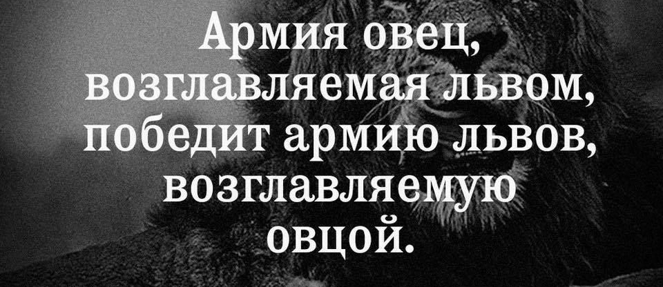 Ъовцой