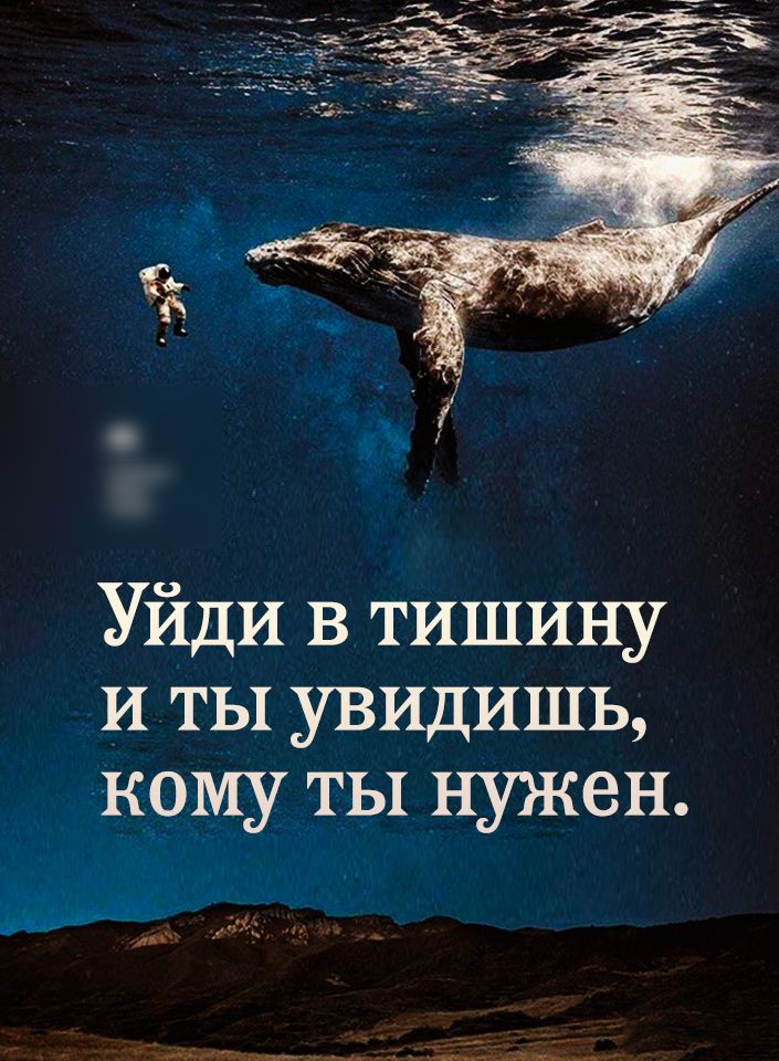 Уйди в тишину и ты увидишь кому ты нужен