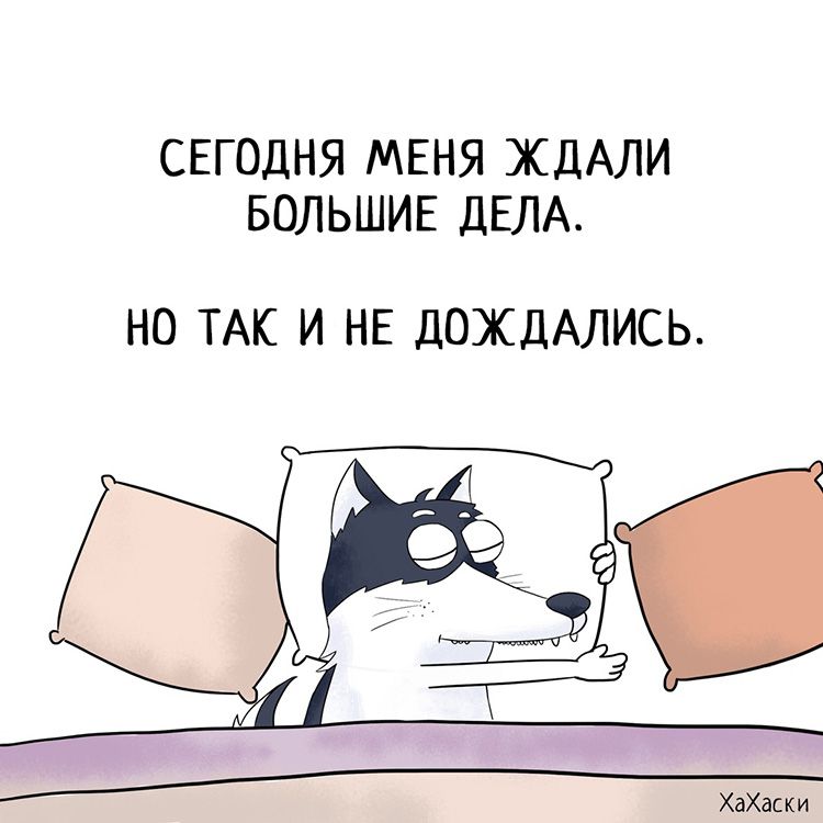 СЕГОДНЯ МЕНЯ ЖДАЛИ БОЛЬШИЕ ДЕЛА НО ТАК И НЕ ДОЖДАЛИСЬ ХаХас к и