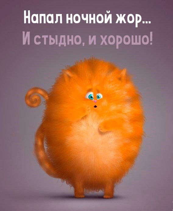 Напал ночной жор И стыцнц и картина