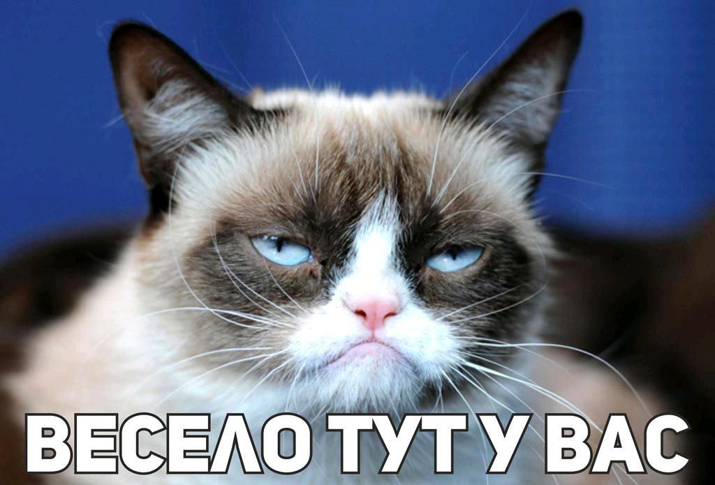 3 ВЁСЁЁЖФ 337 А