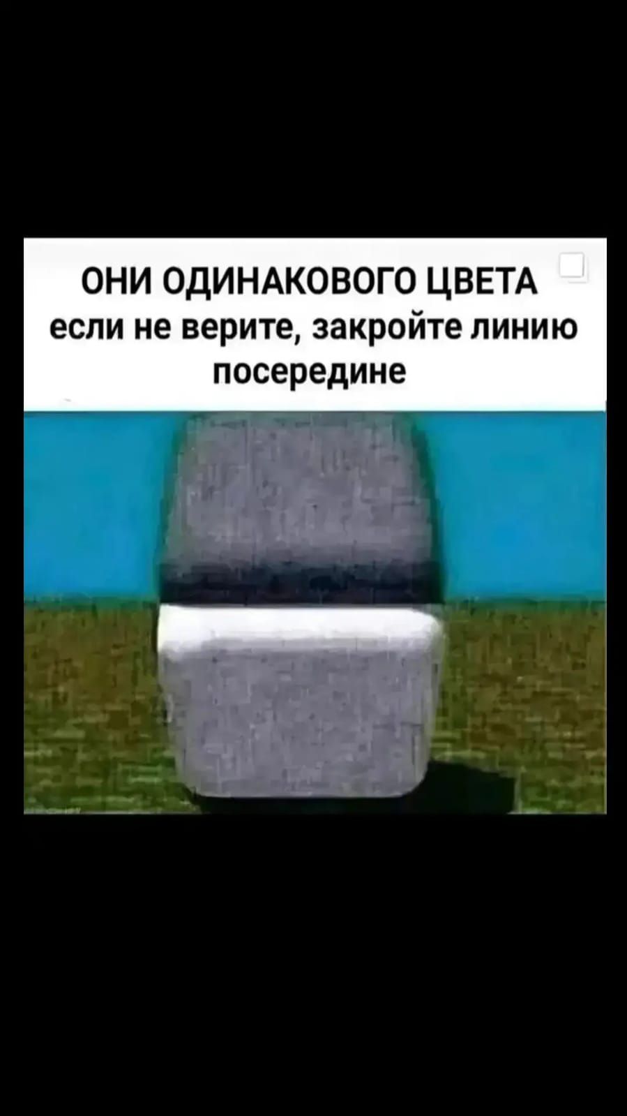 ОНИ ОДИНАКОВОГО ЦВЕТА если не верите закройте лиНИЮ посередине