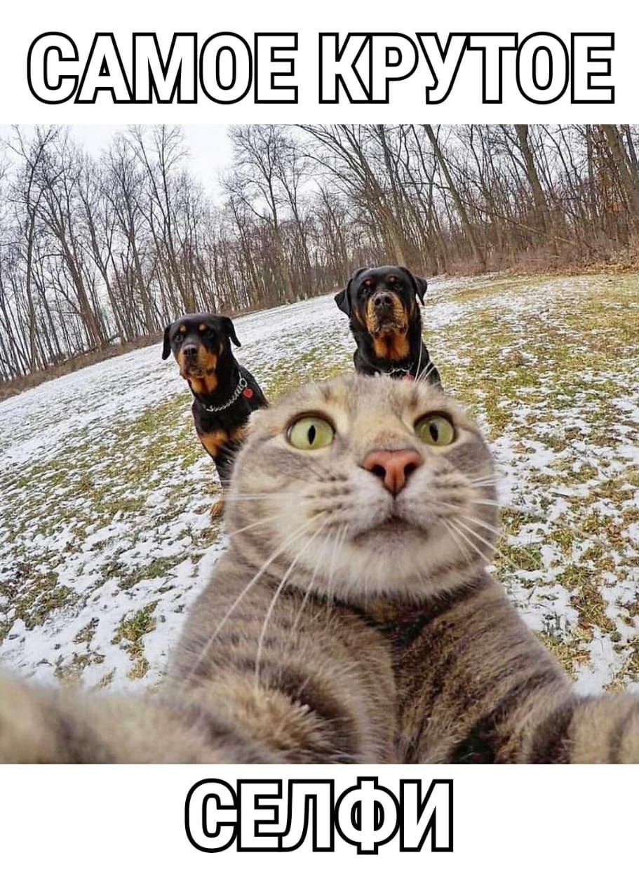 САМОЕ КРУТОЕ
СЕЛФИ