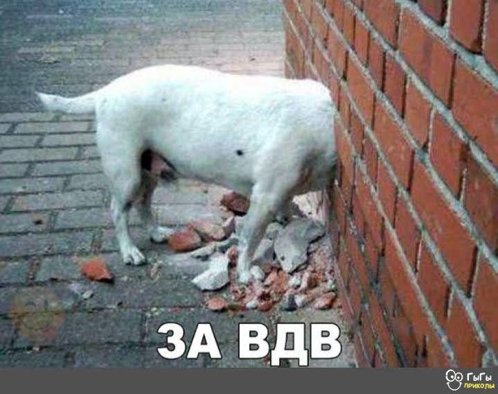 ЗА ВДВ