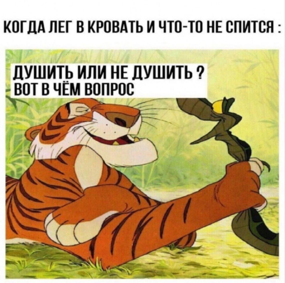 КОГДА ЛЕГ В КРПВАТЬ И ЧТО ТП НЕ СПИТСЯ ліушить или нв душить ЁВЗТ в чём вопрос __ _