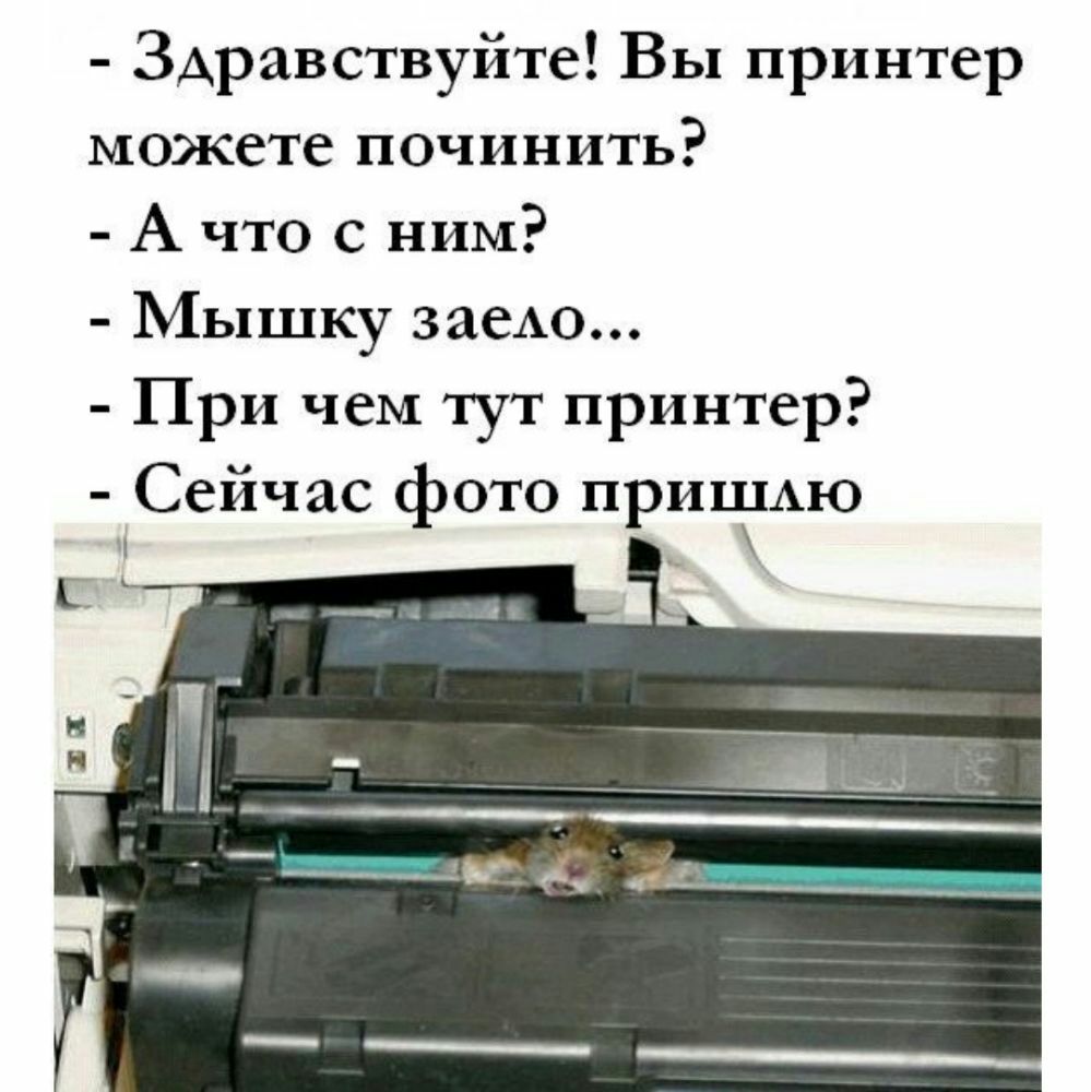 Здравствуйте Вы принтер можете починить А что с ним Мышку заеАо При чем тут принтер Сейчас фото прИШАю __