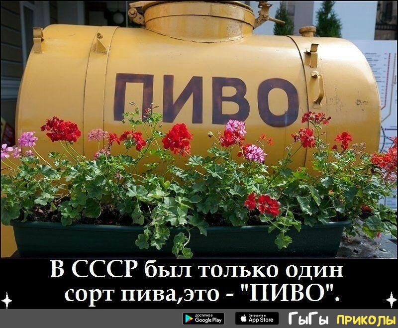 1 _ В СССР был только один сорт пиваэто ПИВО сжег гыгы