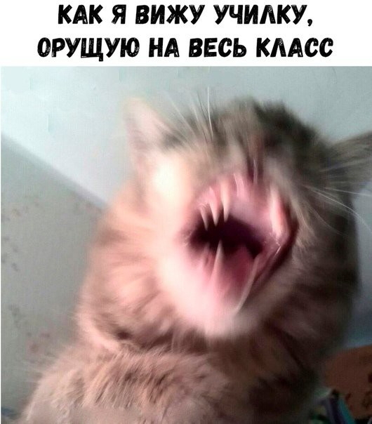 КАК Я ВИЖУ УЧИАКУ ОРУЩУЮ НА ВЕСЬ КЛАСС