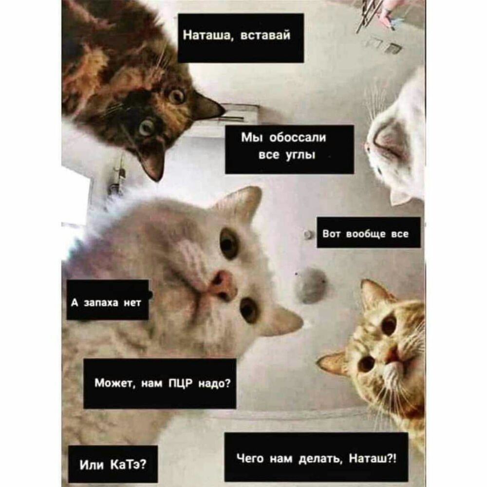 Наташа вставай