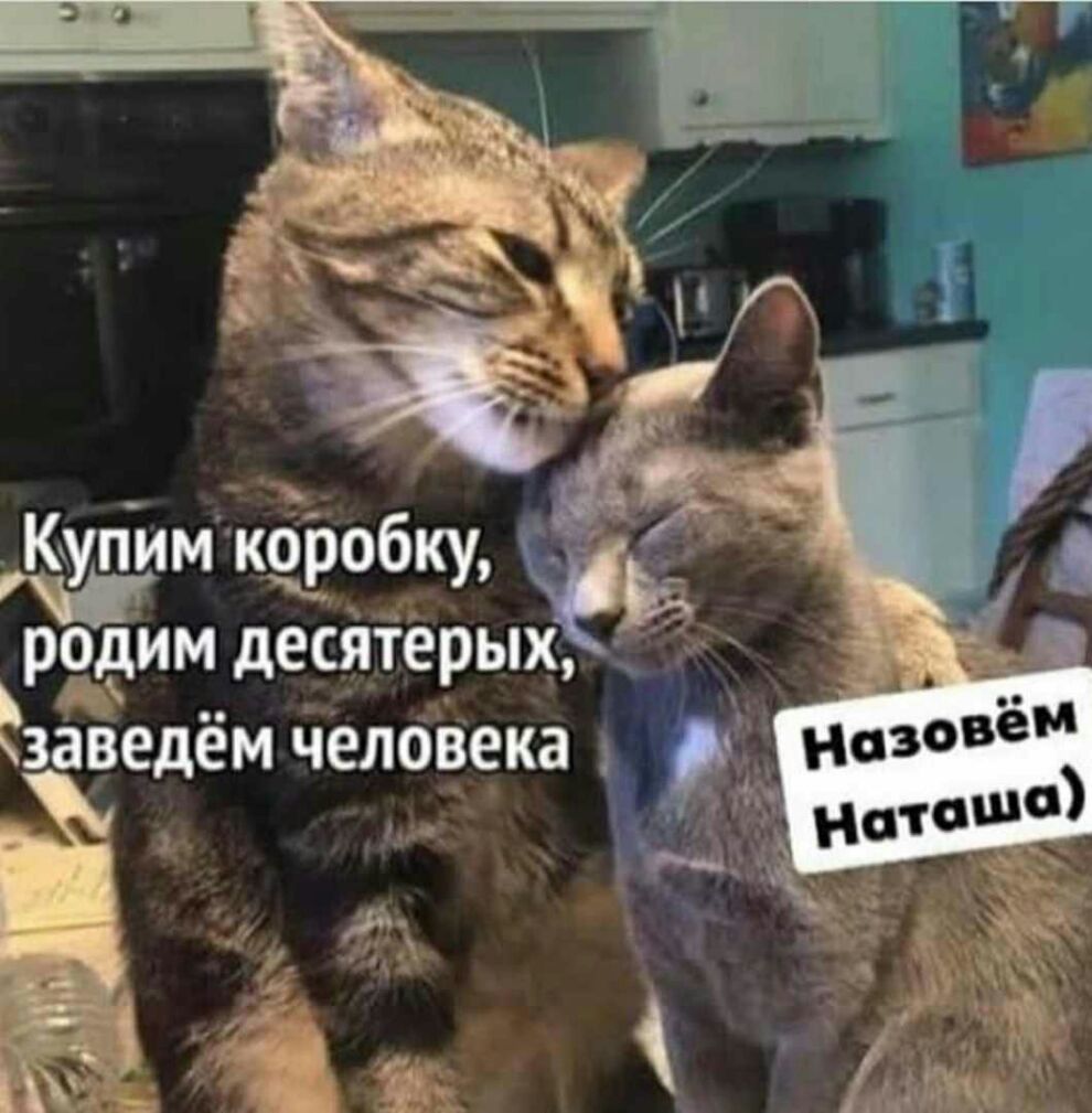 Купим коробку рвёт десятерых вазедём человека И