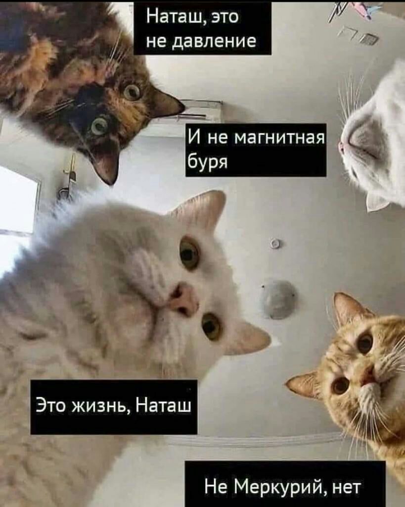 Наташ это _ не давление И не магнитная Ч буря 0 Это жизнь Наташ Не Меркурий нет