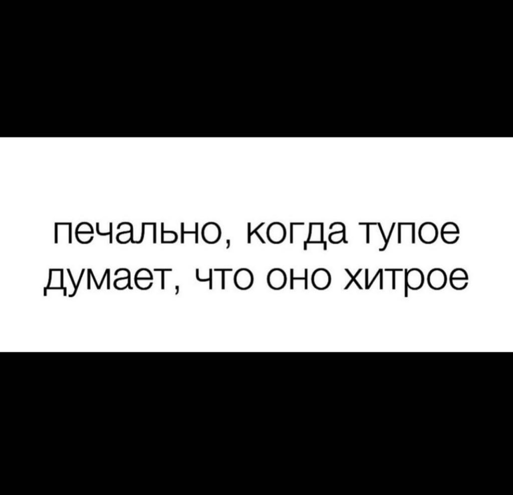 ПЭЧЭЛЬНО когда ТУПОЕ думает что оно хитрое - выпуск №842180