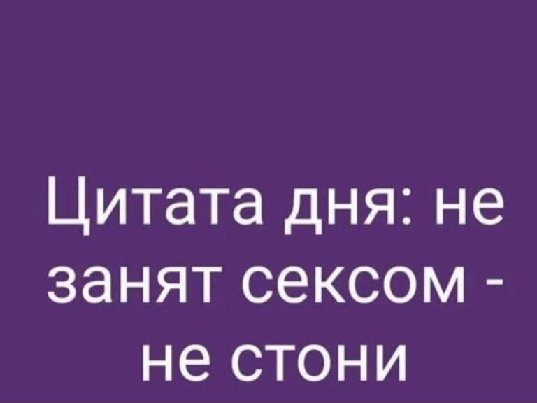 Цитата дня не занят сексом не стони