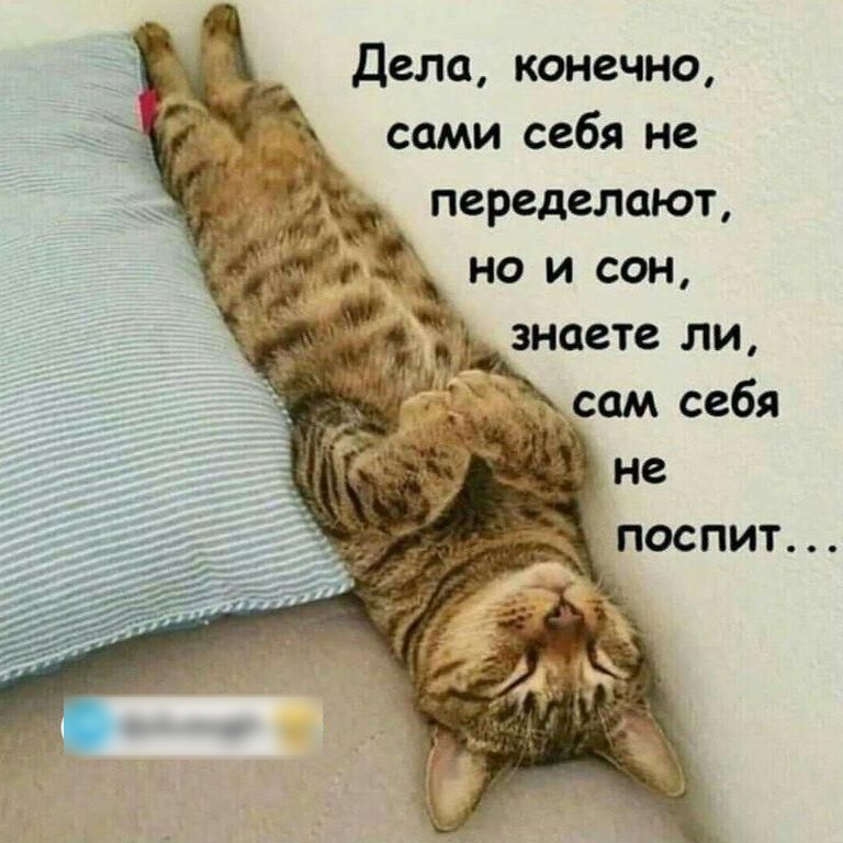 Дела конечно сами себя не переделают чаше ли сам себя