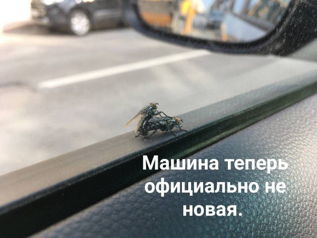Машина те! Официально