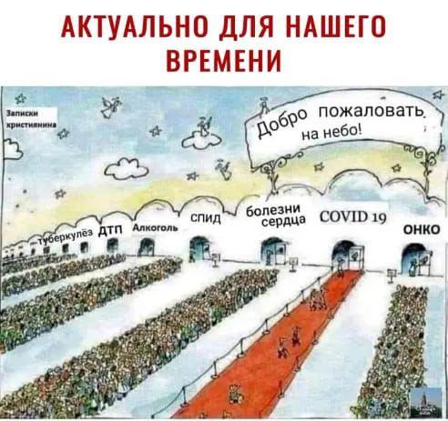 АКТУАЛЬНО ДЛЯ НАШЕГО Болезни соив 19