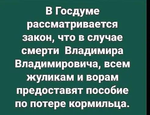 В Госдуме рассматривается закон что в случае смерти Владимира Владимировича всем жупикам и ворам предоставят пособие по потере кормильца