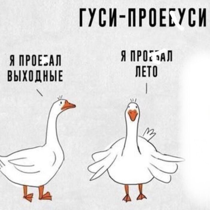 ПСИ ПРВЕЕУВИ я при РВ выходныъ ЕТ 54