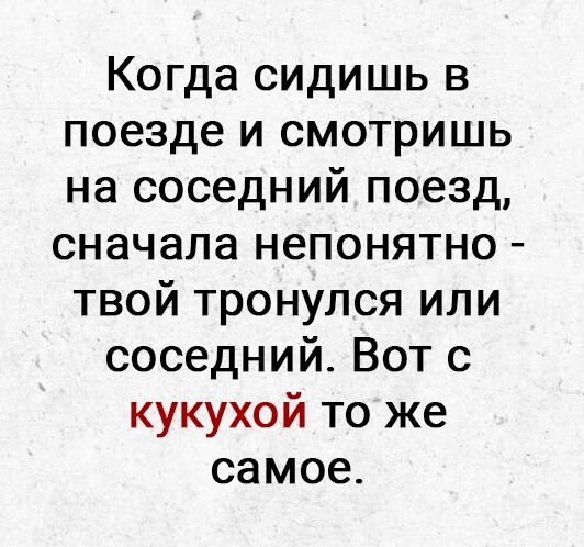 Когда сидишь в поезде и смотришь на соседний поезд сначала непонятно твой тронулся или соседний Вот с кукухой то же самое