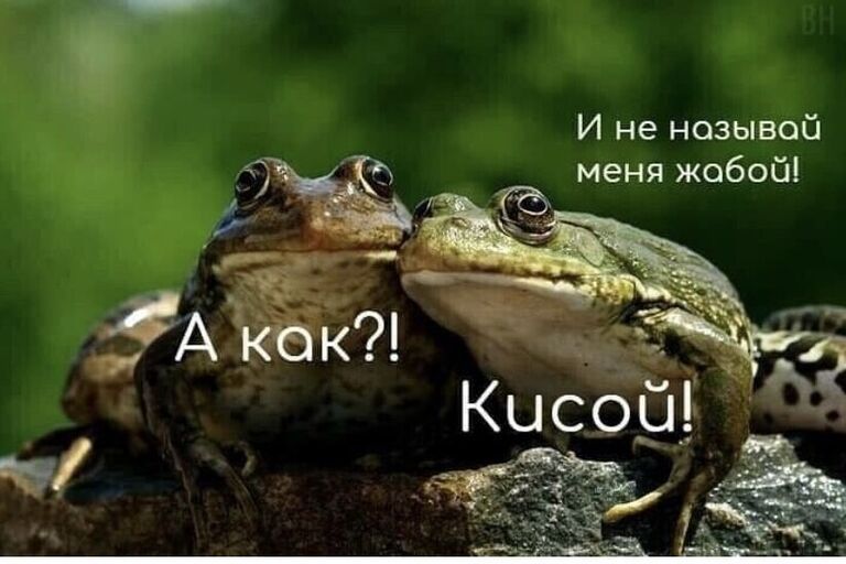 И не нозывой б меня жобойі о _
