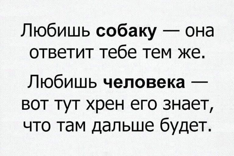 Любишь собаку она ответит тебе тем же Любишь человека вот тут хрен его знает что там дальше будет