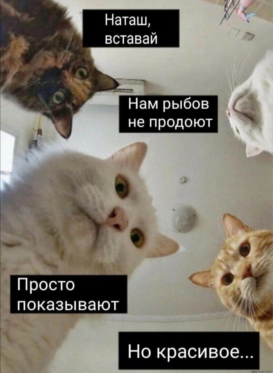 Наташ вставай 34 _ ч 0 Просто 11 показывают 3 Но красивое