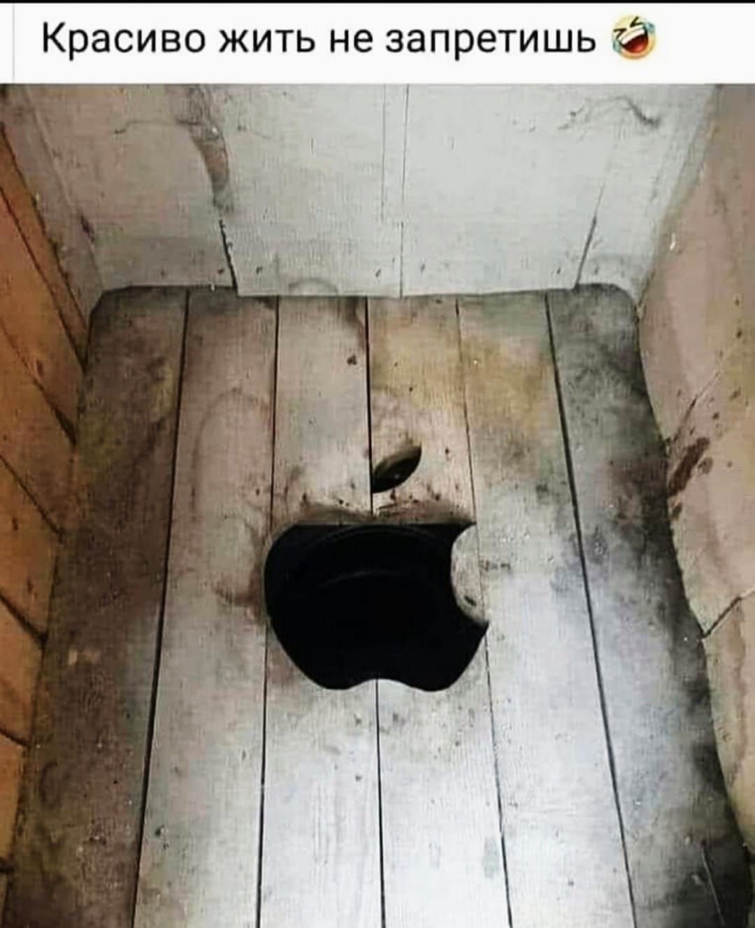 Красиво жить не запретишь