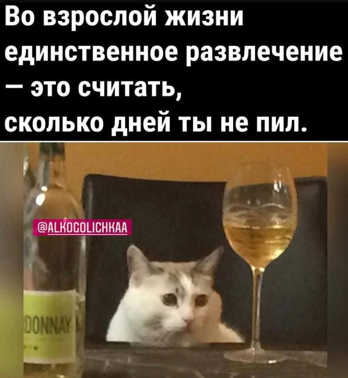 Во взрослой жизни единственное развлечение это считать сколько дней ты не пил и О дШпппць нкм
