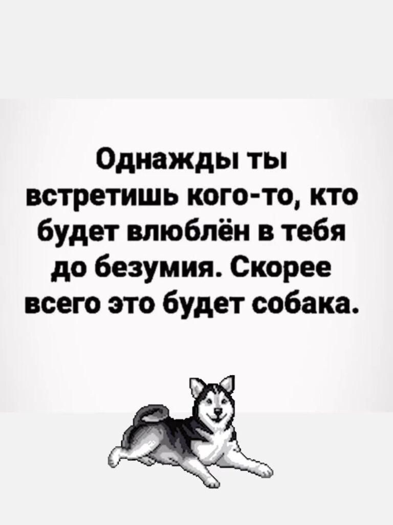 Однажды ты встретишь кого то кто будет влюблён в тебя до безумия Скорее всего это будет собака