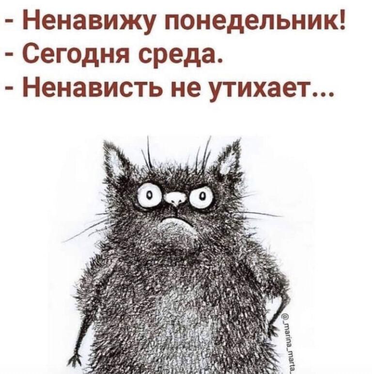 Ненавижу понедельник Сегодня среда Ненависть не утихает