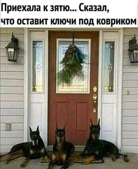 Приехала к зятю Сказал что оставит ключи под ковриком Ё