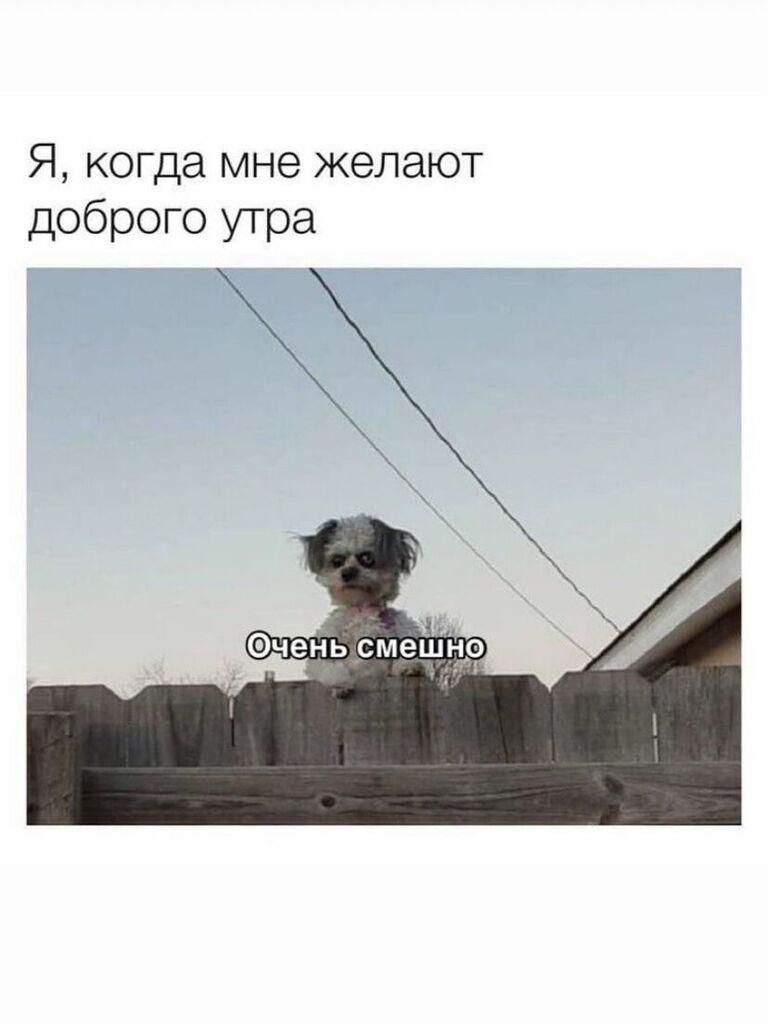 Я когда мне желают доброго утра