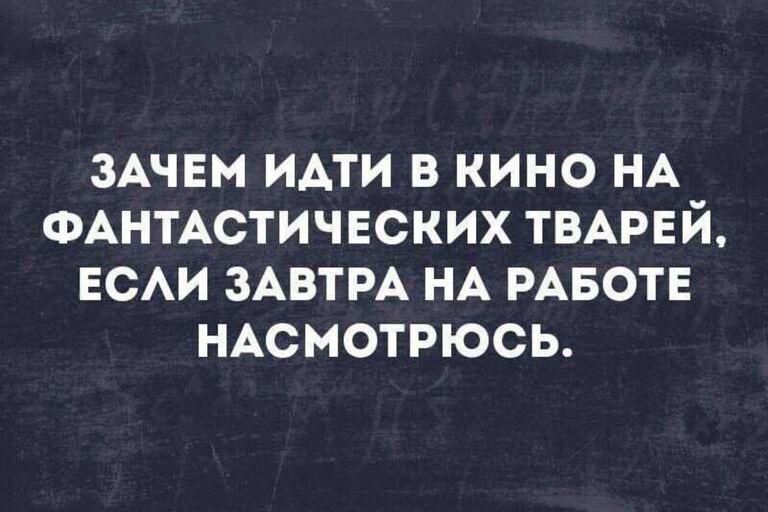ЗАЧЕМ ИАТИ В КИНО НА ФАНТАСТИЧЕСКИХ ТВАРЕЙ ЕСАИ ЗАВТРА НА РАБОТЕ НАСМОТРЮСЬ