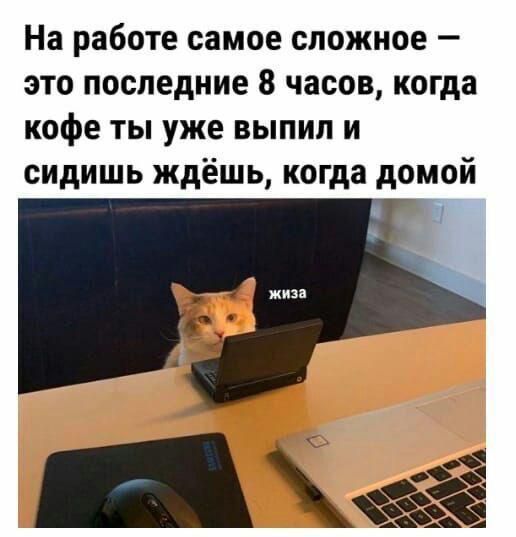 На работе самое сложное это последние 8 часов когда кофе ты уже выпил и сидишь ждёшь когда домой