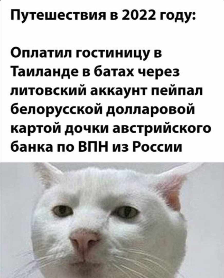 Путешествия в 2022 году Оплатип гостиницу в Таиланде в батах через литовский аккаунт пейпал белорусской долларовой картой дочки австрийского банка по ВПН из России