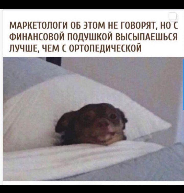 МАРКЕТОЛОГИ ОБ ЗТОМ НЕ ГОВОРЯТ Н0 ФИНАНШВОЙ ПОЦУШКОЙ ВЬКЫПАЕШЫЯ ЛУЧШЕ ЧЕМ ОРТОПЕДИЧНКОЙ