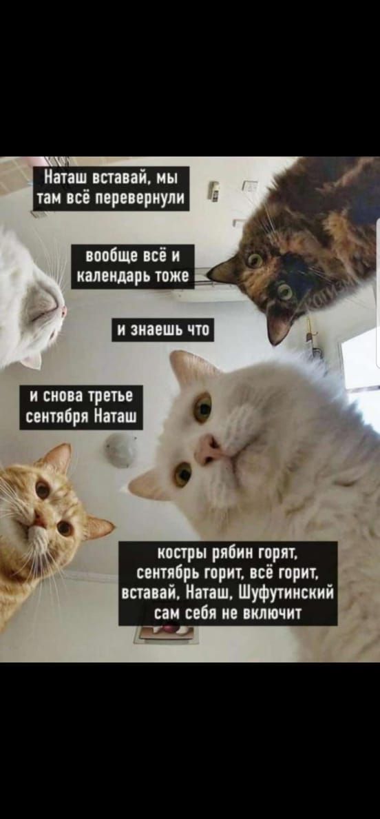 подошв ні и КМОтРЪ ПЖ копры рпбии горн спитябрь горит псі горит нений тш Шуфутинский сям им и включит
